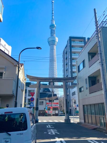 Tokyo Skytree next to a torii gate